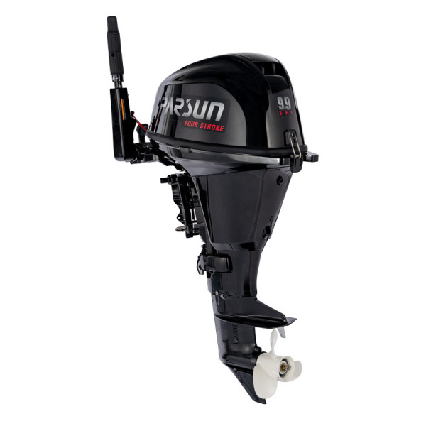 PARSUN F9.9ABMS-EFI PRO в Арсеньеве