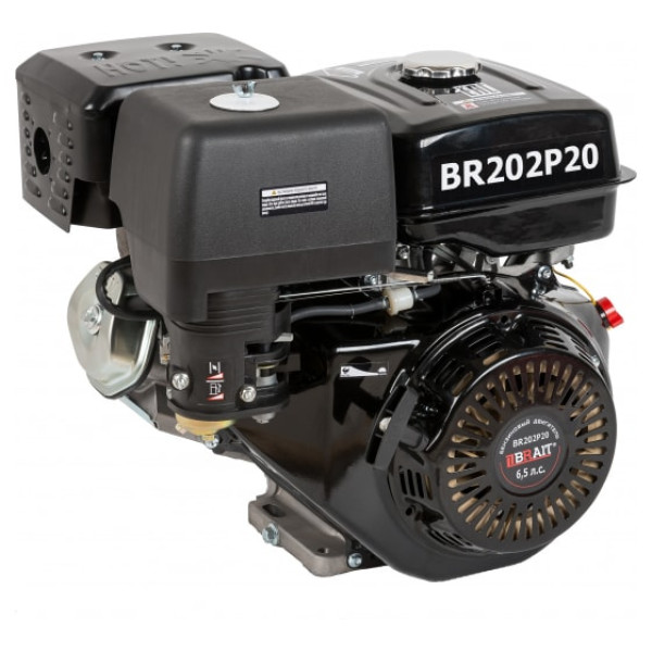 Двигатель 6,5 л.c. d=19мм. Brait BR202P19PRO 03.01.151.035 в Арсеньеве