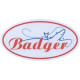 Каталог надувных лодки Badger в Арсеньеве